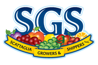 SGS Premium Stone Fruit